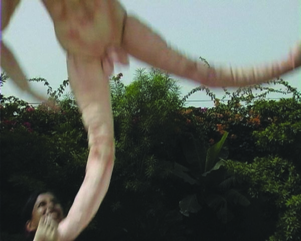 SOE-Projects-2004-elpelele-4